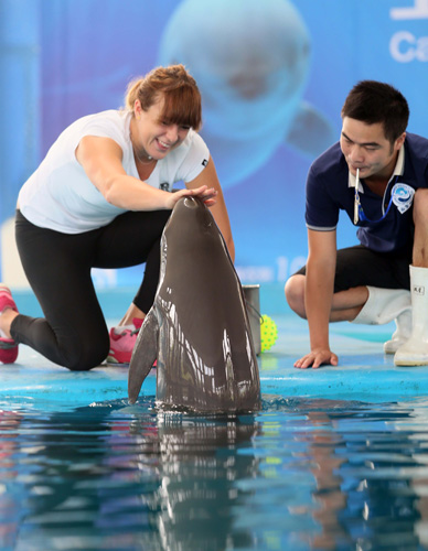 北京依托 北京依托